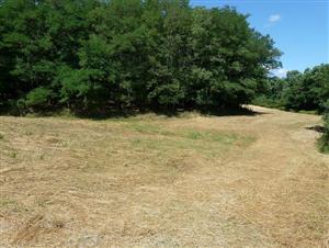 Nížinná kosná lúka s Alopecurus pratensis a Sanguisorba officinalis - Žemberovce 1